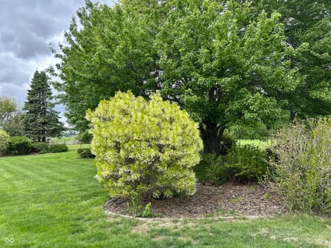 Photo of 120 Chitwood Drive, Anderson, IN