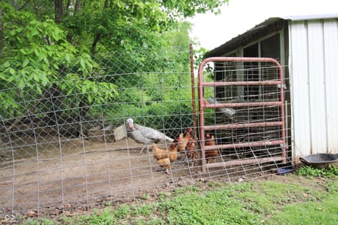 Photo of 6430 E Private Rd 800 N, North Vernon, IN