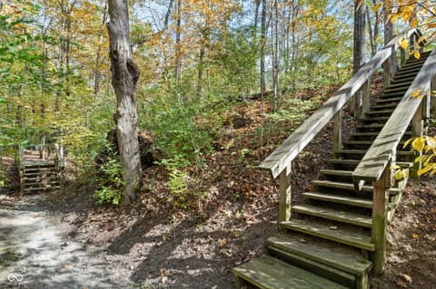 Photo of 11010 Tenacious Drive, Indianapolis, IN