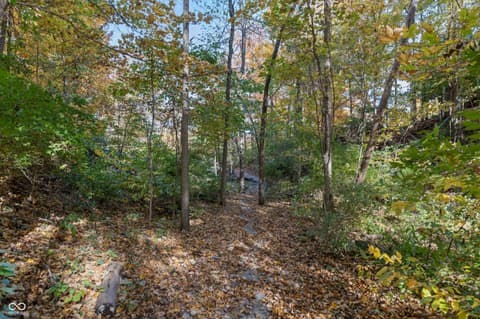 Photo of 11010 Tenacious Drive, Indianapolis, IN