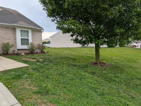 Yard at 6407 Emerald Springs Drive, Indianapolis, IN