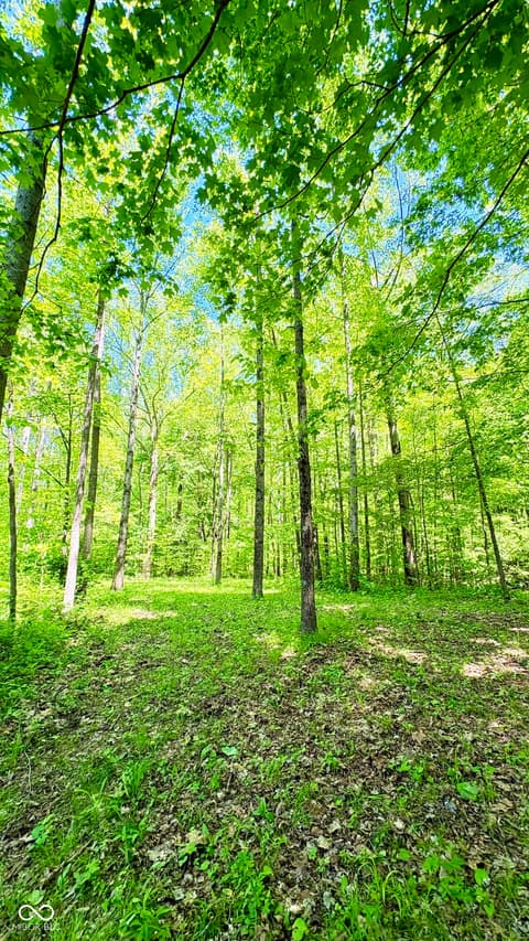 Photo of 2603 S Cataract Road, Spencer, IN