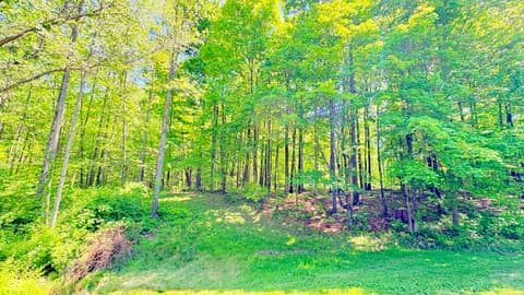 Photo of 2603 S Cataract Road, Spencer, IN