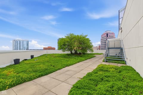 Yard at 333 Massachusetts Avenue, Indianapolis, IN
