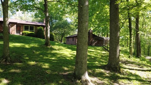 Yard at 982 E Coonpath Road, Spencer, IN