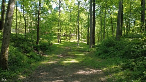 View — 982 E Coonpath Road, Spencer, IN