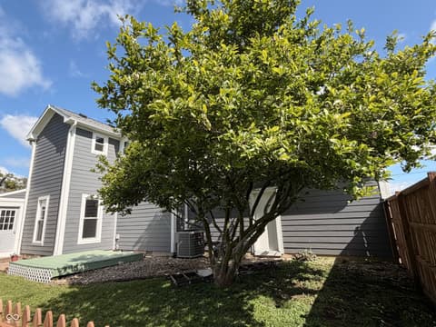 Yard at 809 W Pearl Street, Trafalgar, IN