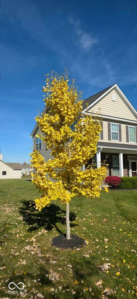 Photo of 11888 Logan Hunter Trail, Noblesville, IN