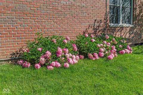 Yard at 87 John Court, Danville, IN