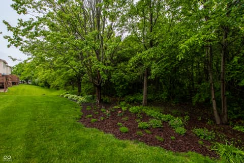 Yard at 207 Wakefield Way, Zionsville, IN