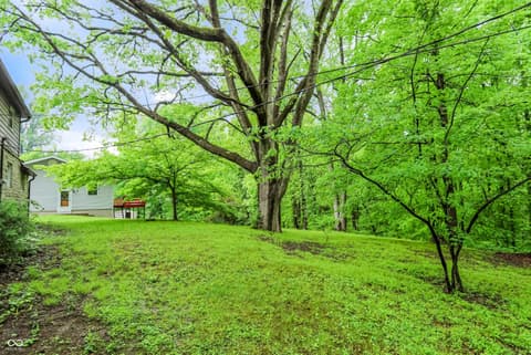 Photo of 1609 E Woodland Drive, Bloomington, IN