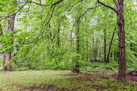 Photo of 1609 E Woodland Drive, Bloomington, IN