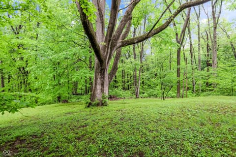 Photo of 1609 E Woodland Drive, Bloomington, IN