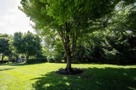 Yard at 3017 Lucann Street, Carmel, IN