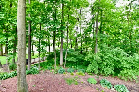 Lake — 13558 Water Crest Drive, Fishers, IN