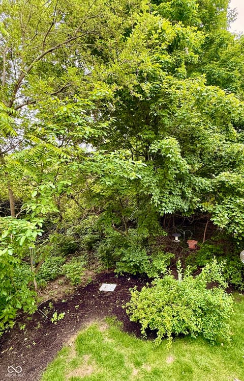 Yard at 9098 Rider Drive, Fishers, IN