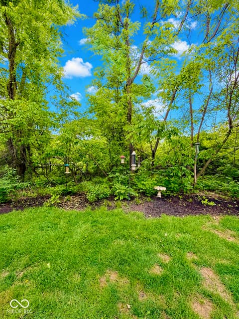 Yard at 9098 Rider Drive, Fishers, IN