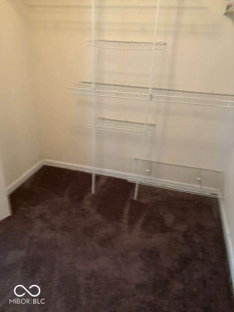 Walk In Closets — 16776 Greensboro Drive, Westfield, IN