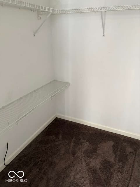 Walk In Closets — 16776 Greensboro Drive, Westfield, IN